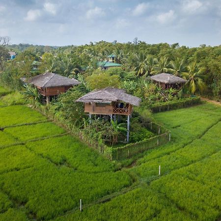 The Hideout Sigiriya Villa Luaran gambar