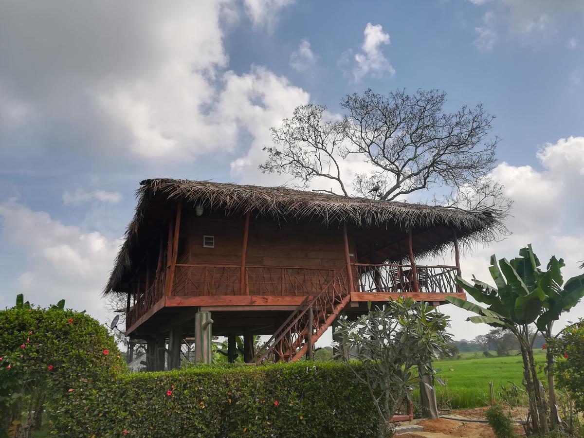 The Hideout Sigiriya Villa Luaran gambar